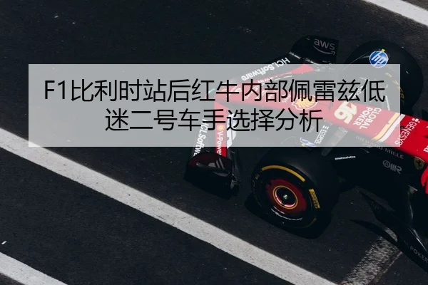 bi-li-shi-zhan-hou-hong-niu-nei-bu-pei-lei-zi-di-mi-er-hao-che-shou-xuan-ze-fen-xi-3-974.jpg