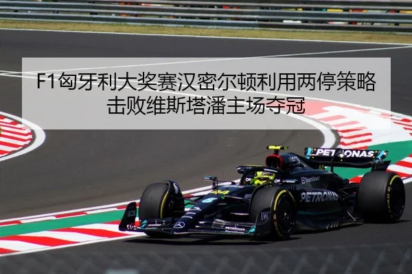 xiong-ya-li-da-jiang-sai-han-mi-er-dun-li-yong-liang-ting-ce-lve-ji-bai-wei-si-ta-pan-zhu-chang-duo-guan-2-222.jpg